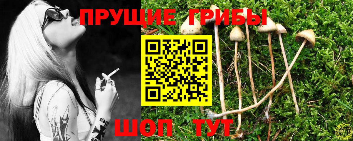 Галлюциногенные грибы GOLDEN TEACHER Санкт-Петербург