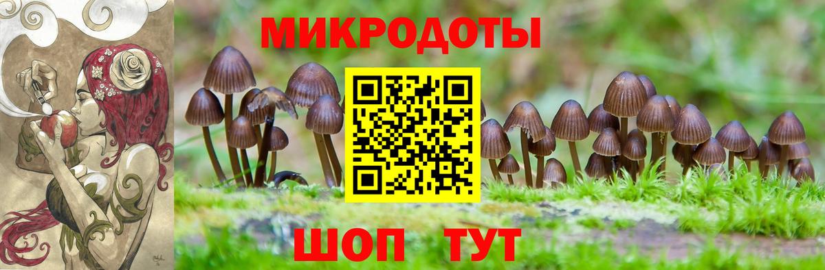 Псилоцибиновые грибы Psilocybe  Вход с VPN  Санкт-Петербург 